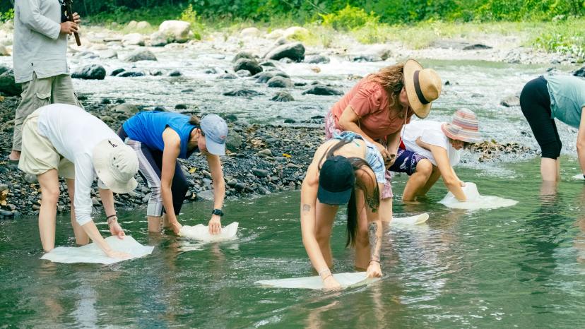 Imagen de retiro de Mariposa Azul