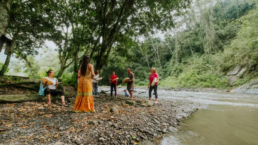 Imagen de retiro de Mariposa Azul