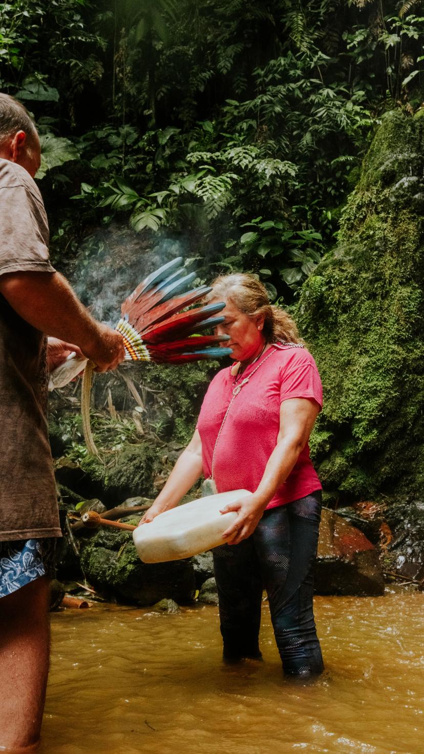 Imagen de retiro de Mariposa Azul