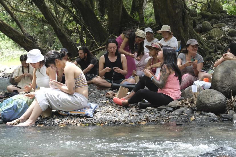 Imagen de retiro de Mariposa Azul